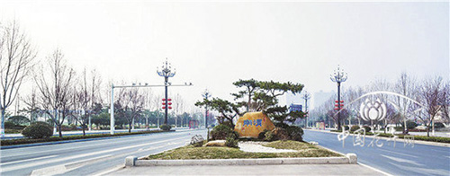 亚洲精品白浆高清久久久久久