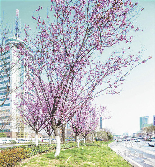 亚洲精品白浆高清久久久久久