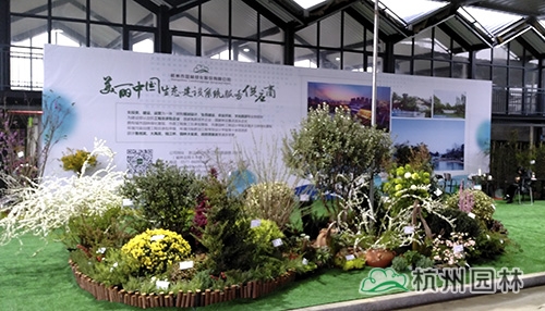 亚洲精品白浆高清久久久久久