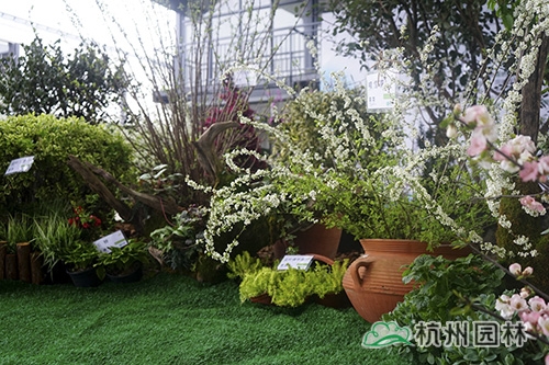 亚洲精品白浆高清久久久久久