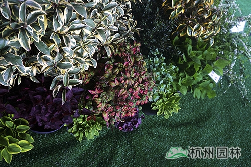 亚洲精品白浆高清久久久久久