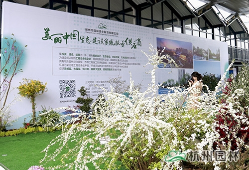 亚洲精品白浆高清久久久久久