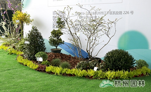 亚洲精品白浆高清久久久久久