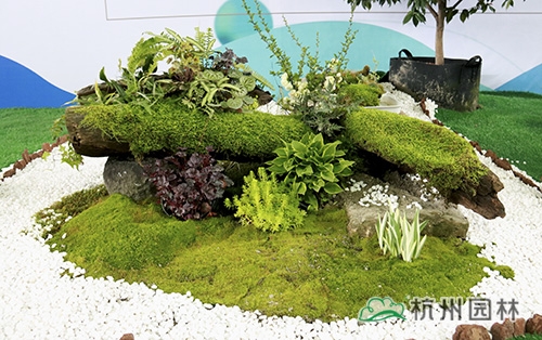 亚洲精品白浆高清久久久久久