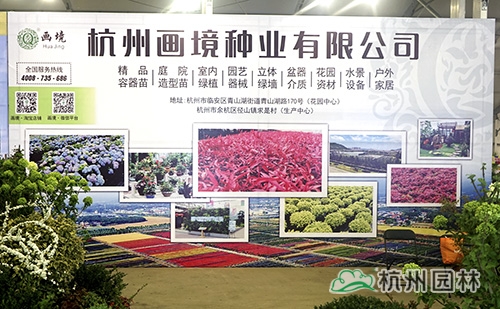 亚洲精品白浆高清久久久久久