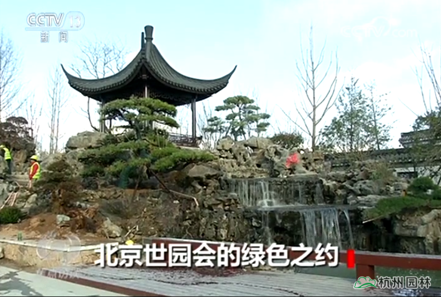 亚洲精品白浆高清久久久久久