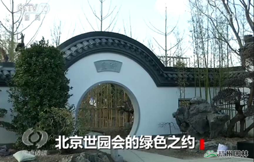 亚洲精品白浆高清久久久久久