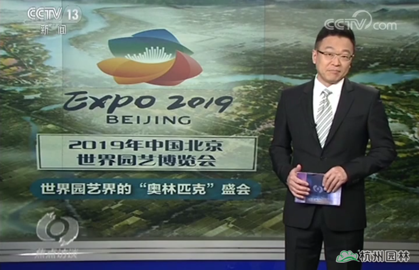 亚洲精品白浆高清久久久久久