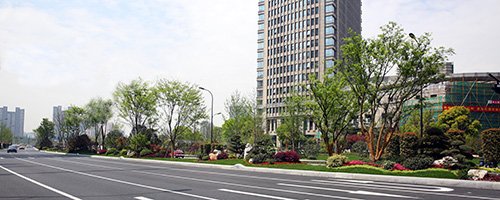 亚洲精品白浆高清久久久久久