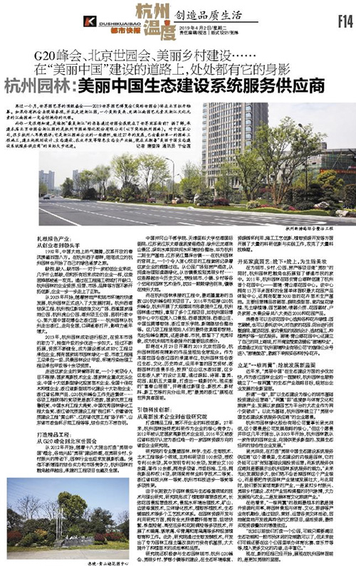 亚洲精品白浆高清久久久久久