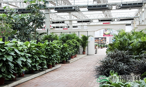 亚洲精品白浆高清久久久久久