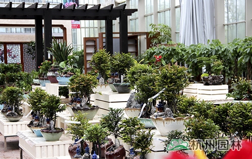 亚洲精品白浆高清久久久久久