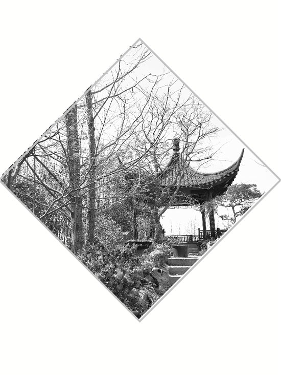 亚洲精品白浆高清久久久久久