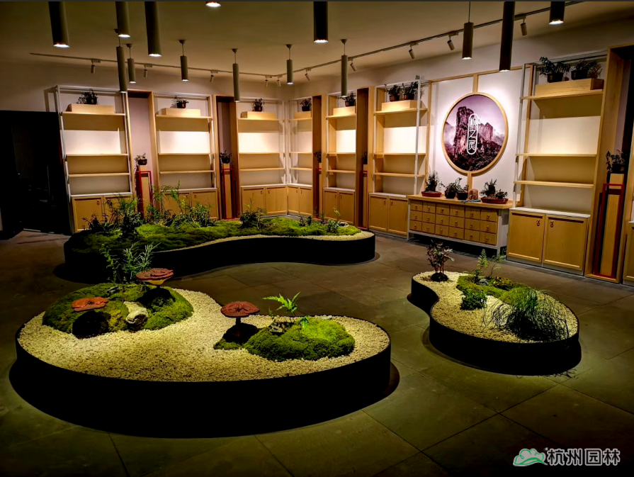 亚洲精品白浆高清久久久久久