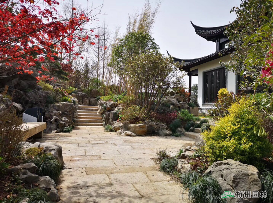 亚洲精品白浆高清久久久久久