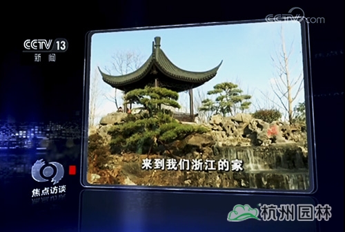 亚洲精品白浆高清久久久久久