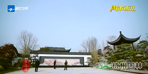 亚洲精品白浆高清久久久久久