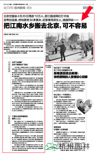 亚洲精品白浆高清久久久久久