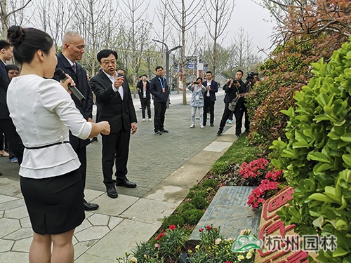 亚洲精品白浆高清久久久久久