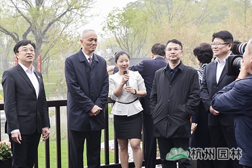 亚洲精品白浆高清久久久久久