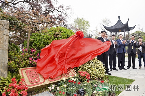 亚洲精品白浆高清久久久久久