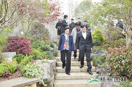 亚洲精品白浆高清久久久久久