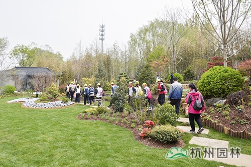 亚洲精品白浆高清久久久久久