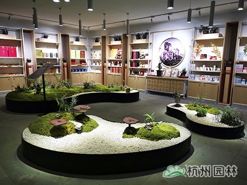 亚洲精品白浆高清久久久久久