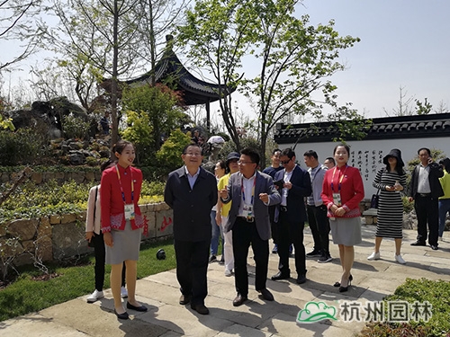 亚洲精品白浆高清久久久久久