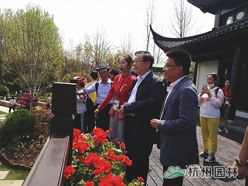 亚洲精品白浆高清久久久久久