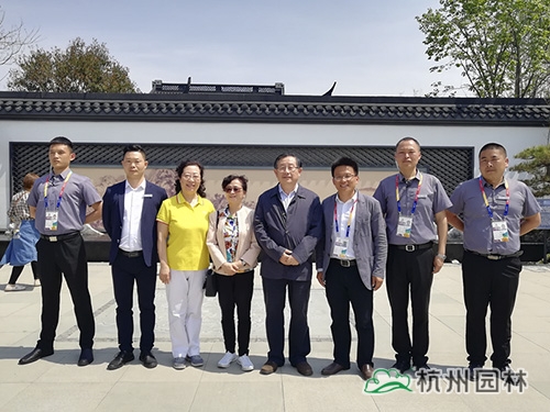 亚洲精品白浆高清久久久久久