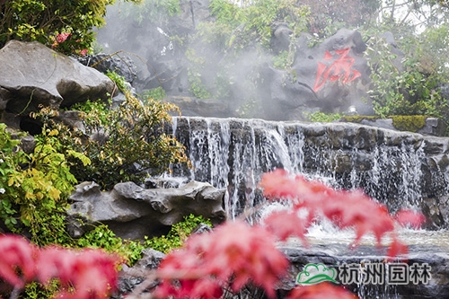 亚洲精品白浆高清久久久久久