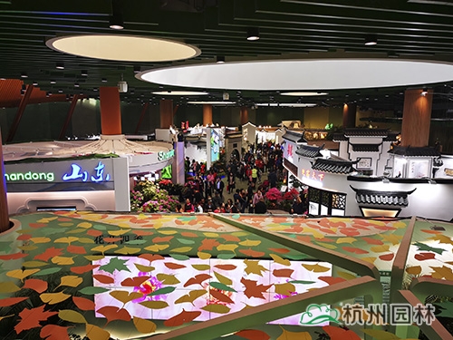 亚洲精品白浆高清久久久久久