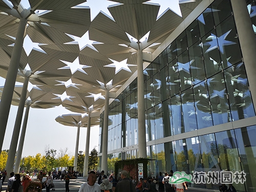 亚洲精品白浆高清久久久久久