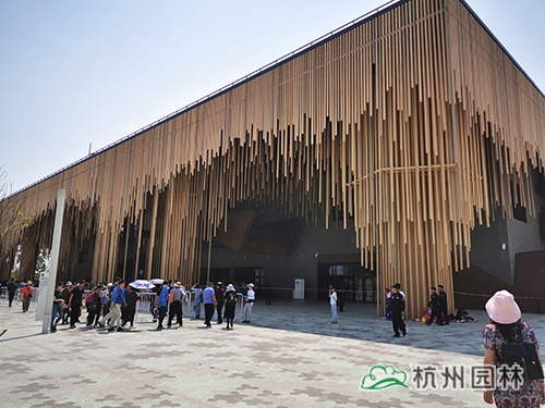 亚洲精品白浆高清久久久久久