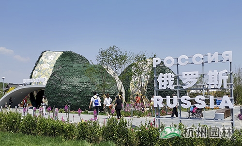 亚洲精品白浆高清久久久久久