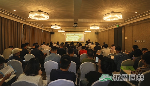 亚洲精品白浆高清久久久久久