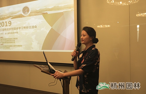 亚洲精品白浆高清久久久久久