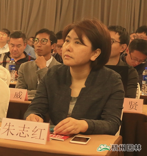 亚洲精品白浆高清久久久久久