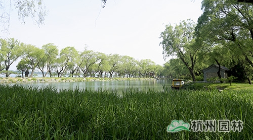 亚洲精品白浆高清久久久久久