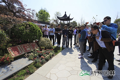 亚洲精品白浆高清久久久久久