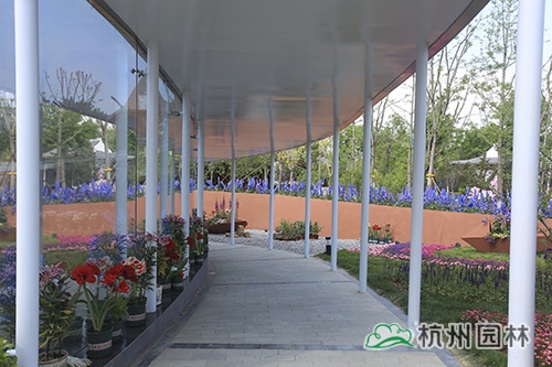 亚洲精品白浆高清久久久久久