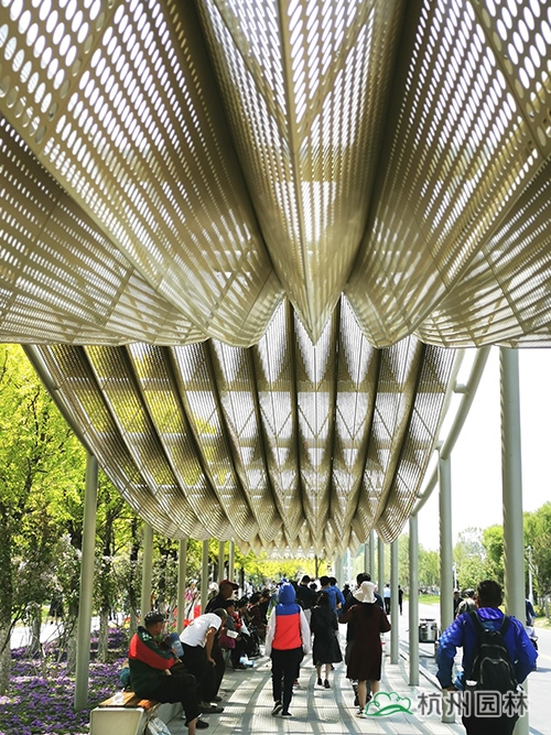 亚洲精品白浆高清久久久久久