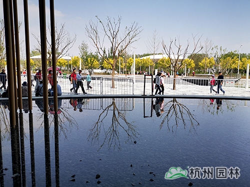 亚洲精品白浆高清久久久久久