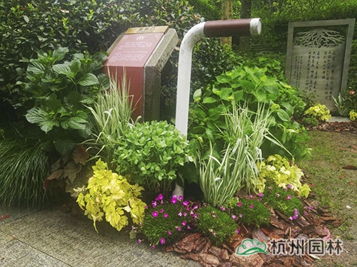 亚洲精品白浆高清久久久久久