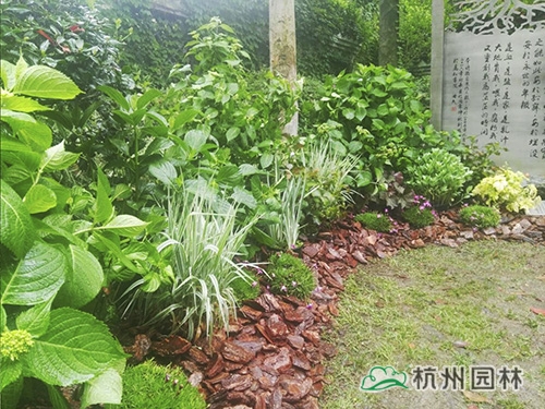 亚洲精品白浆高清久久久久久