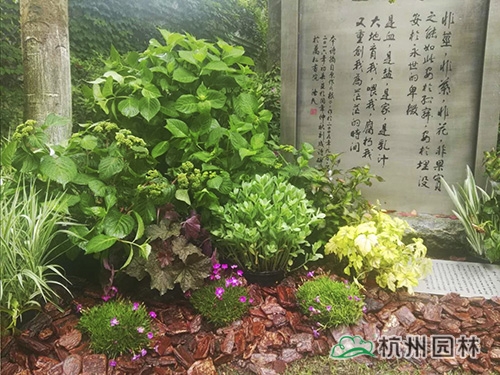 亚洲精品白浆高清久久久久久