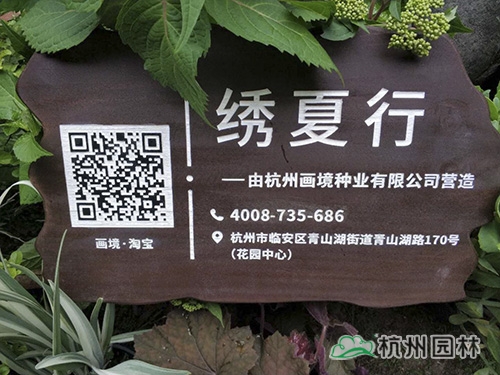 亚洲精品白浆高清久久久久久