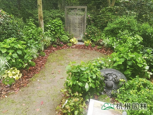 亚洲精品白浆高清久久久久久