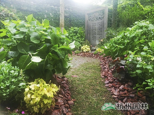 亚洲精品白浆高清久久久久久